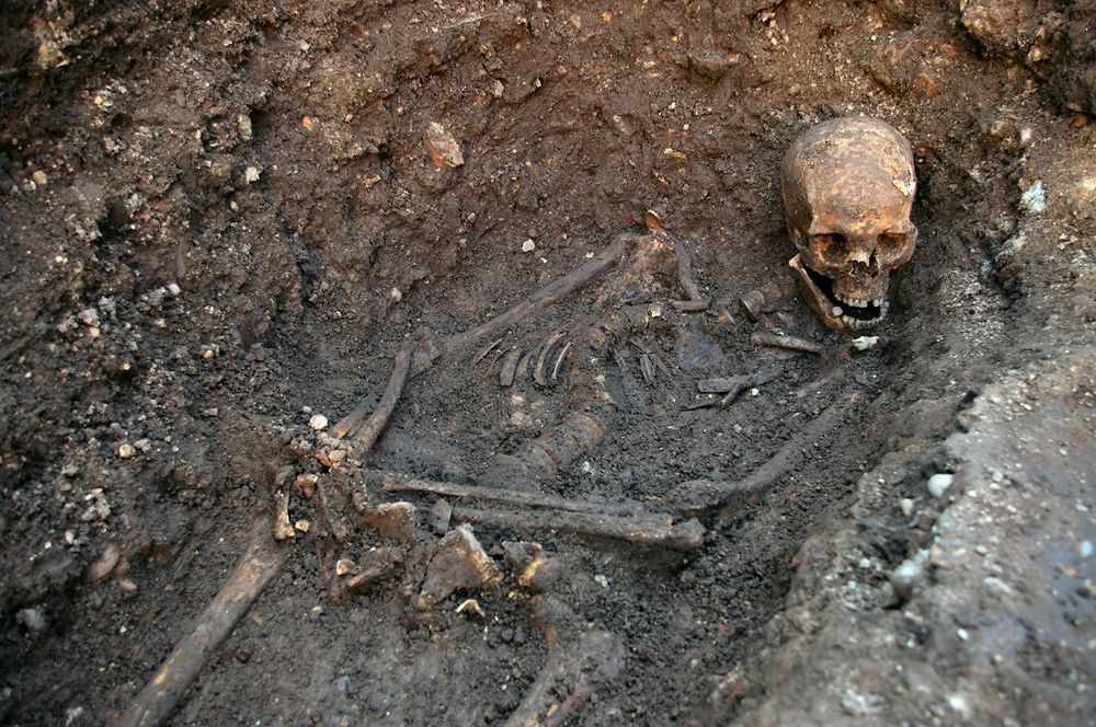 Skeleton found beneath Leicester, UK parking lot confirmed by DNA to be that of Richard III.
