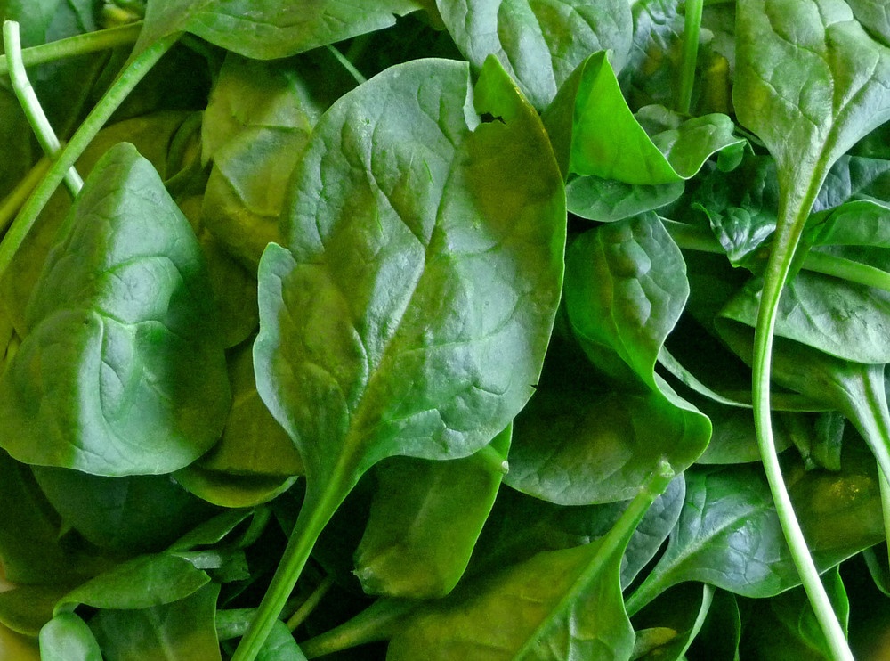 Sweet Spinach Pie - A Renaissance Recipe