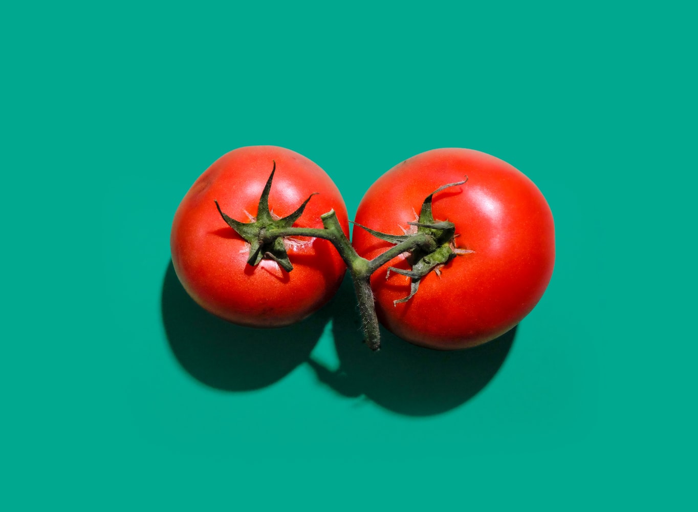 The World's First Tomato Sauce Recipe